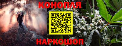 гидропоника Гай