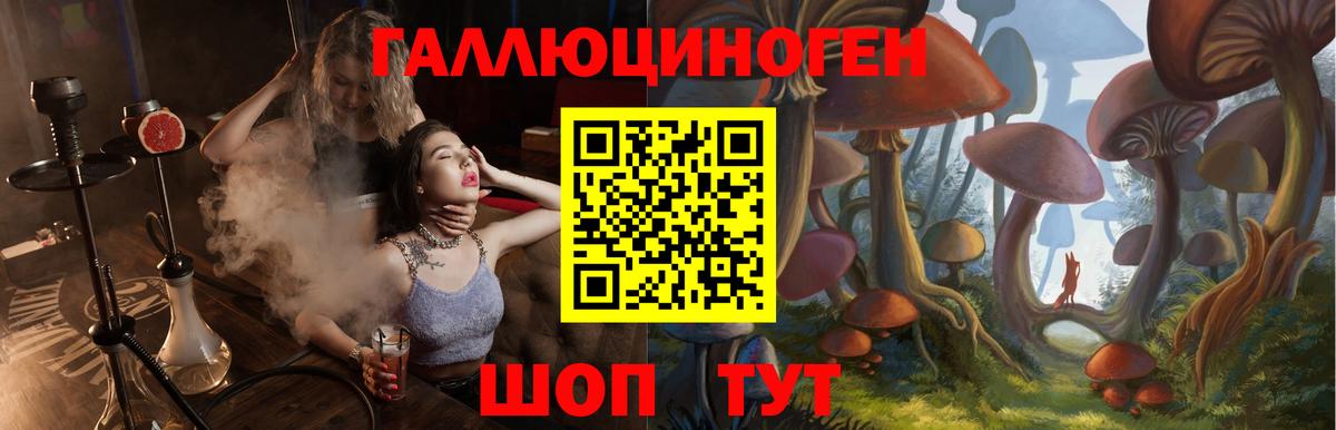 Галлюциногенные грибы мухоморы  цены   Горно-Алтайск  Вход с VPN 